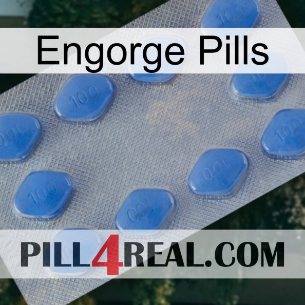 Engorge Pills 21.jpg